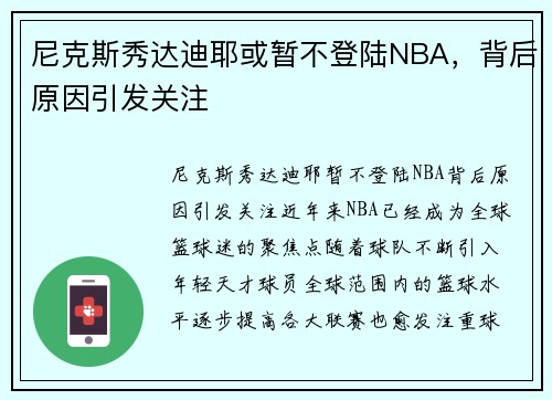 尼克斯秀达迪耶或暂不登陆NBA，背后原因引发关注