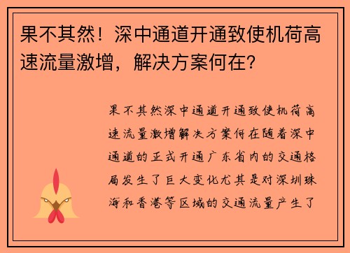 果不其然！深中通道开通致使机荷高速流量激增，解决方案何在？